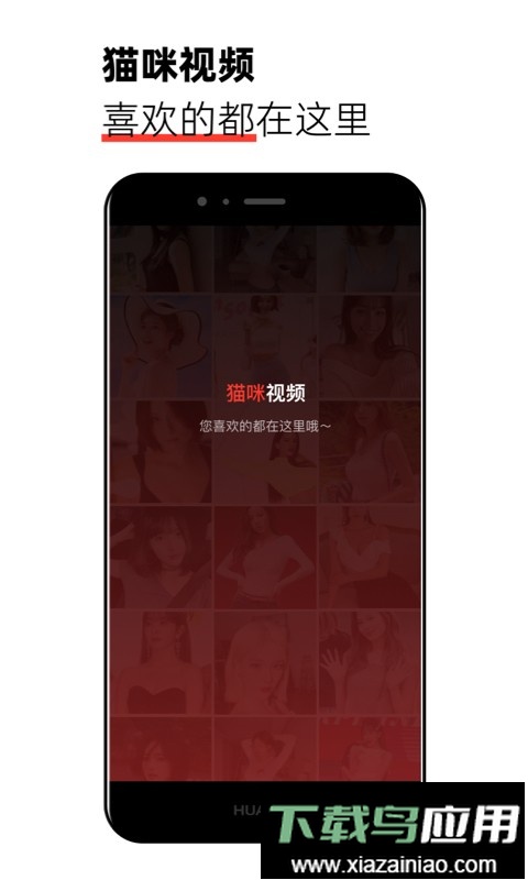 猫咪视频最新版最新版截图2