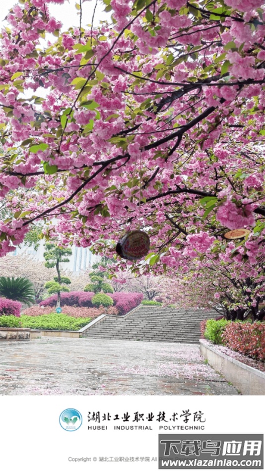 湖工职院app下载最新版截图2