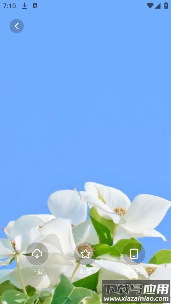 蜜桃壁纸主题截图1