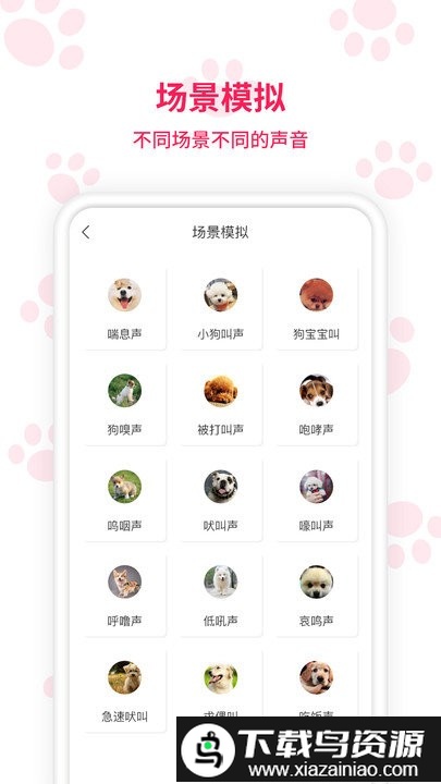动物翻译app截图3