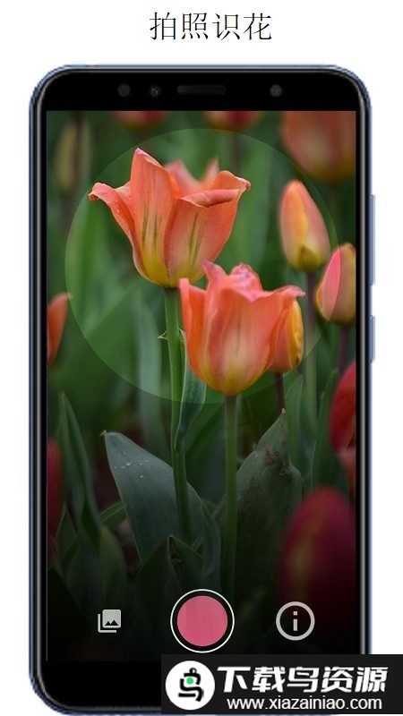 万物识别app(万物头条)最新版截图1