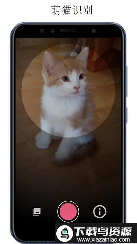万物识别app(万物头条)最新版截图3