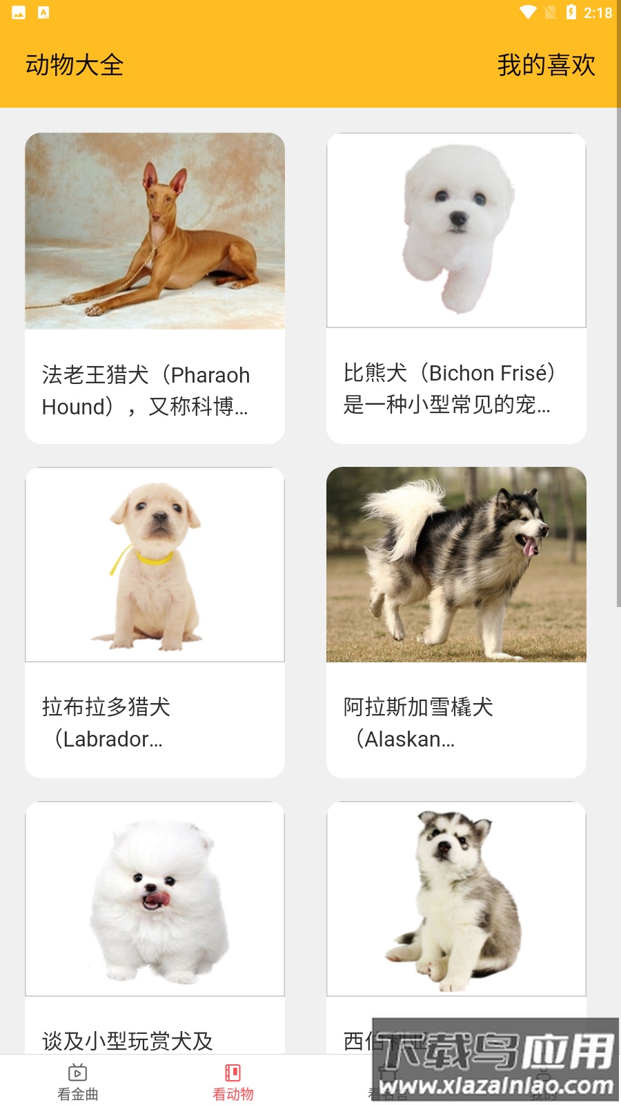 金牌聚看app截图2
