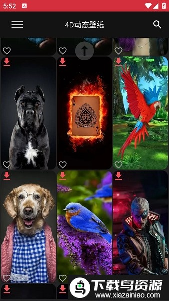 4d动态壁纸免费最新版截图3