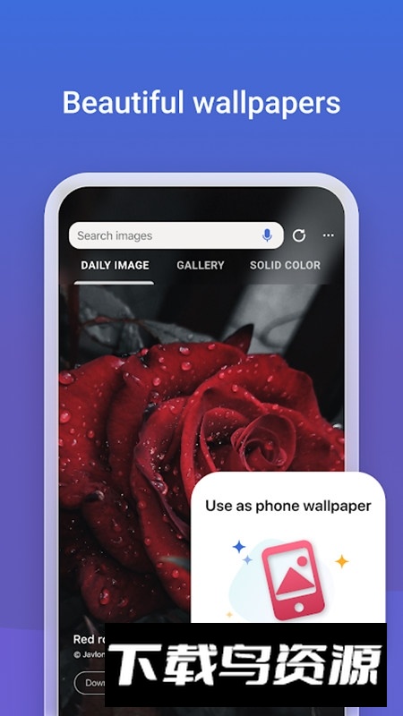 微软newbing谷歌版最新版截图3
