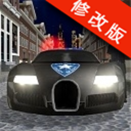 疯狂警察司机怒3d内购版(DRIVER POLICE)