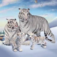 野生白虎家庭模拟(Wild White Tiger Family Sim)