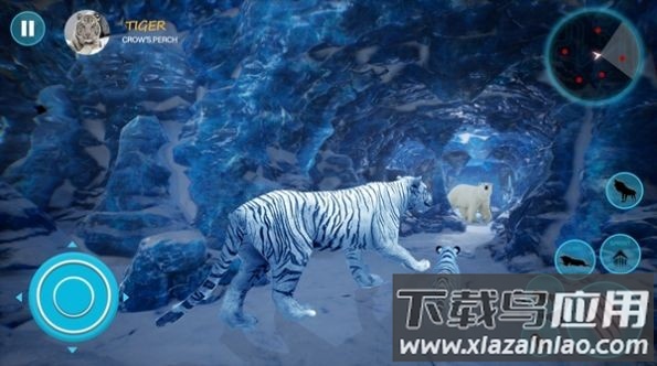 野生白虎家庭模拟(Wild White Tiger Family Sim)最新版截图2