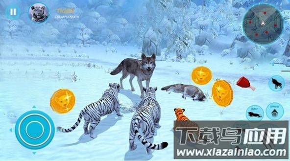 野生白虎家庭模拟(Wild White Tiger Family Sim)最新版截图3