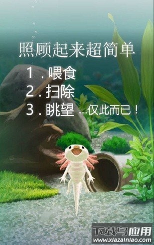 治愈的蝾螈最新版截图2