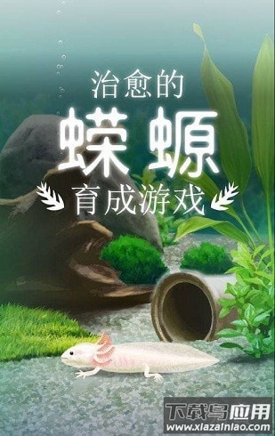 治愈的蝾螈最新版截图4