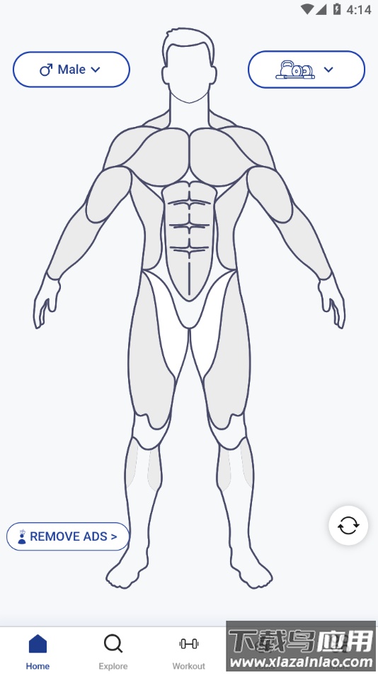 MuscleWiki官方下载最新版截图1