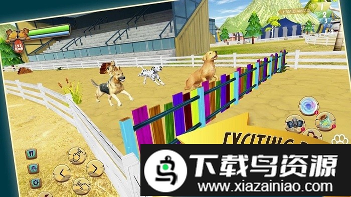 zoro宠物狗比赛最新版截图2