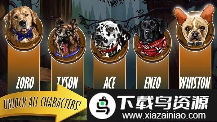 zoro宠物狗比赛最新版截图3