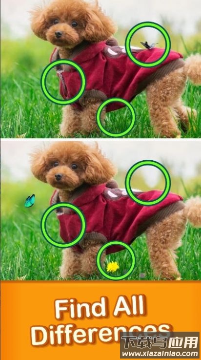 找不同旅行Find Difference游戏最新版截图2