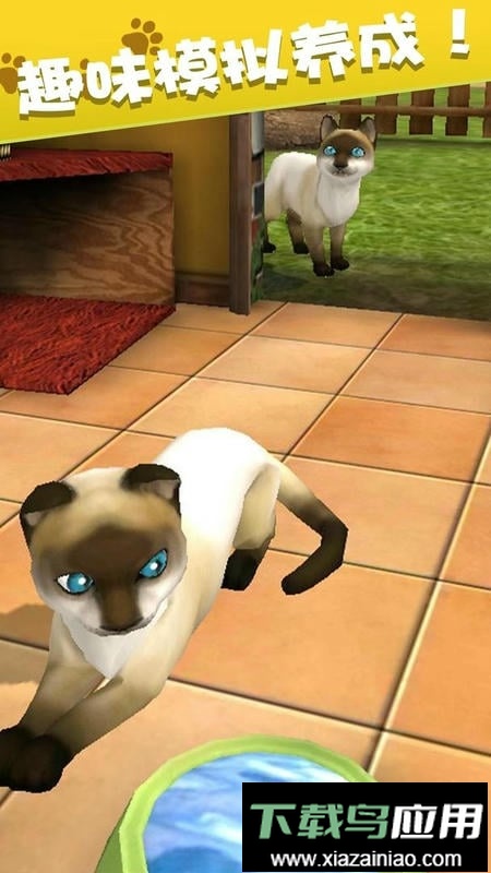 我的动物王国手机版最新版截图2