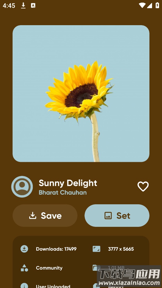 backdrops安卓版截图4