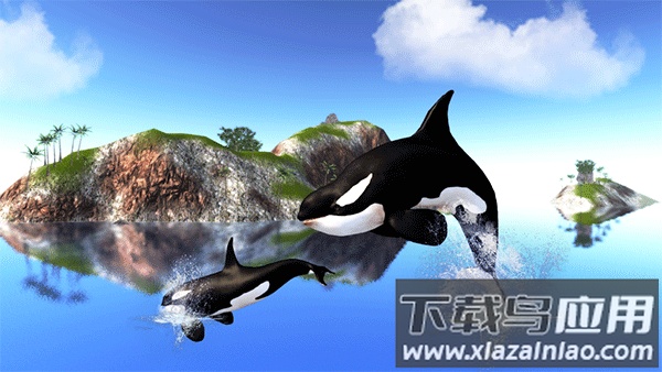 虎鲸模拟器下载(The Killer Whale)最新版截图1