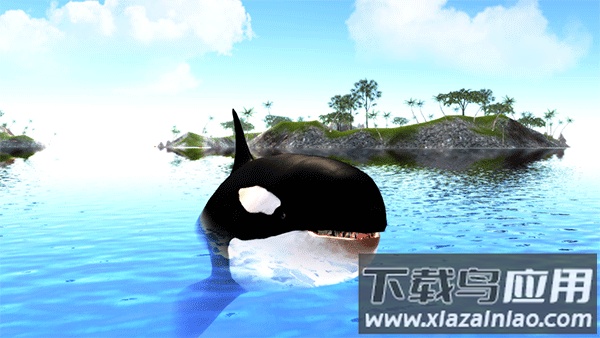 虎鲸模拟器下载(The Killer Whale)最新版截图3