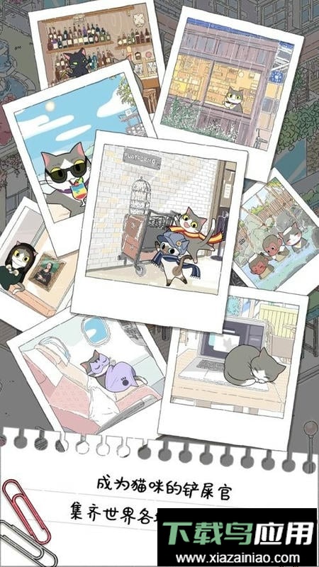 猫友圈猫咪的旅行最新版最新版截图2