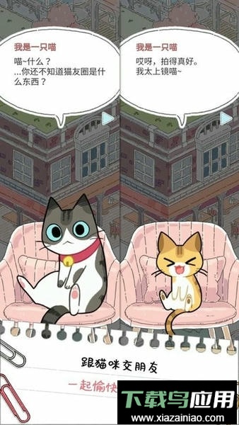 猫友圈猫咪的旅行最新版最新版截图3