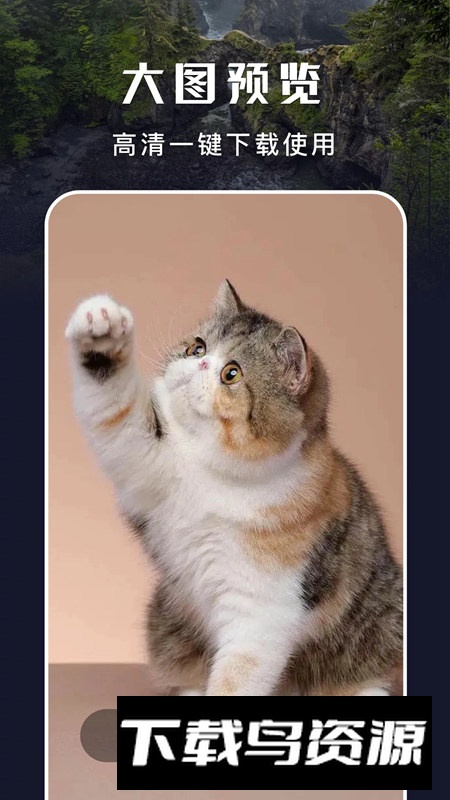 主题盒手机版安装包最新版截图3