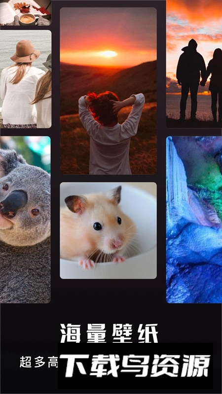 主题盒手机版安装包最新版截图4