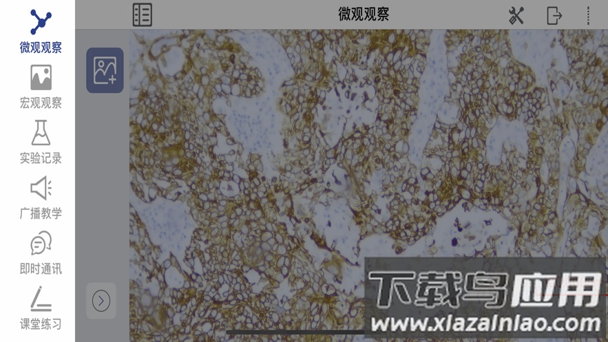 SMES软件下载安卓最新版截图3