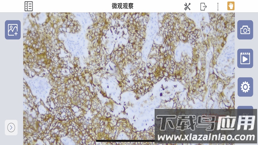 SMES软件下载安卓最新版截图4