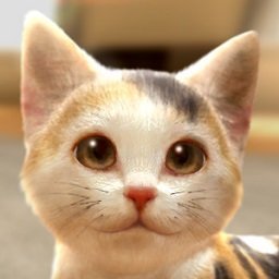 和我的猫最新版