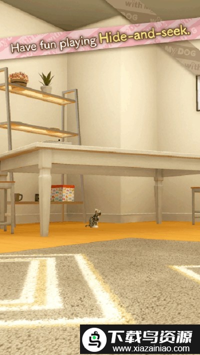 和我的猫最新版最新版截图1