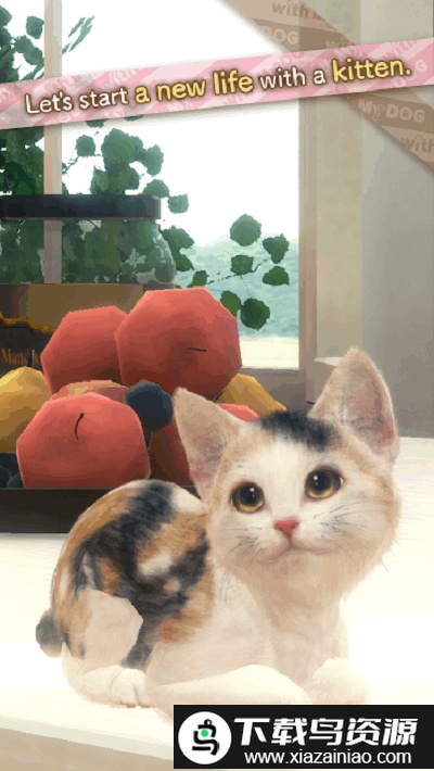 和我的猫最新版最新版截图2