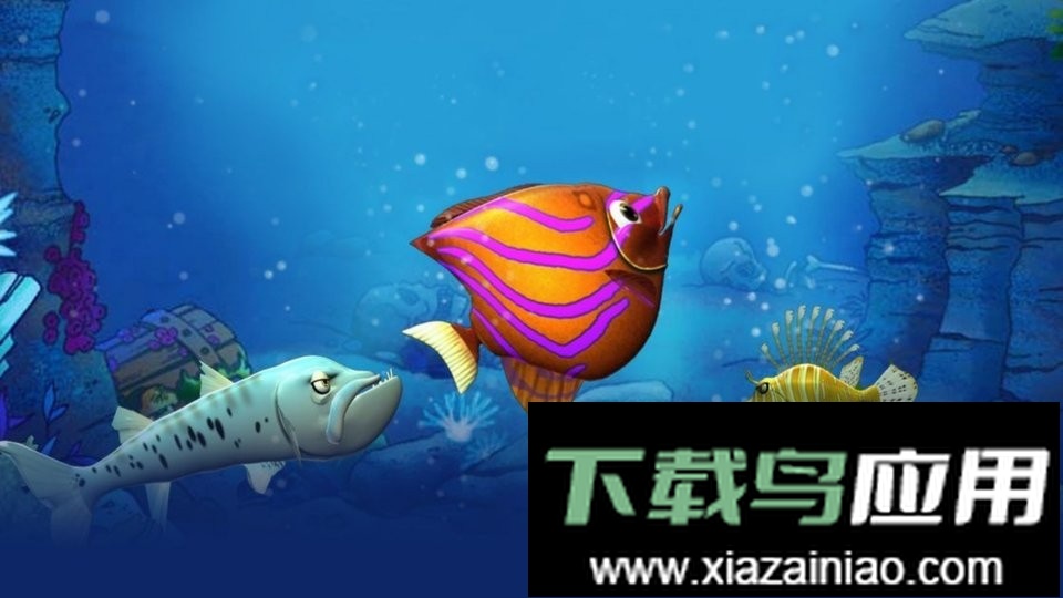 吞食鱼手机版(Feeding Frenzy)最新版截图2