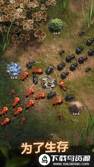 小小蚁国百度版游戏截图4