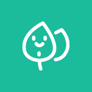 一叶单词app安卓版