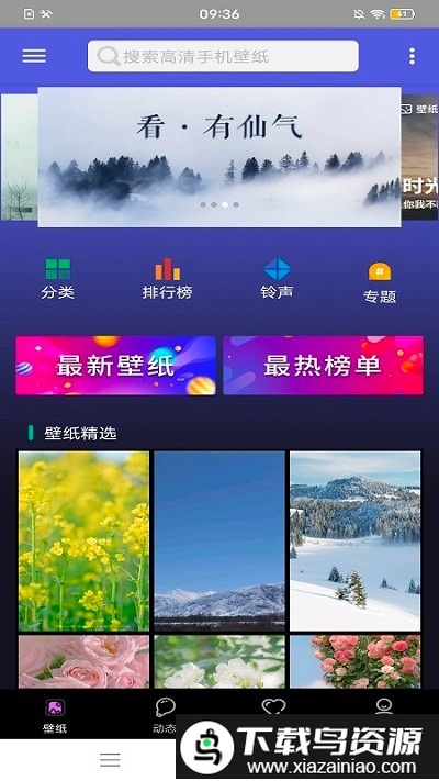 安卓壁纸大全app(动态壁纸大全)最新版截图4