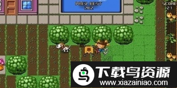 周日草坪季节手机版最新版截图3