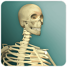 放置人类2中文版