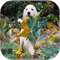 我的拼图世界手机版