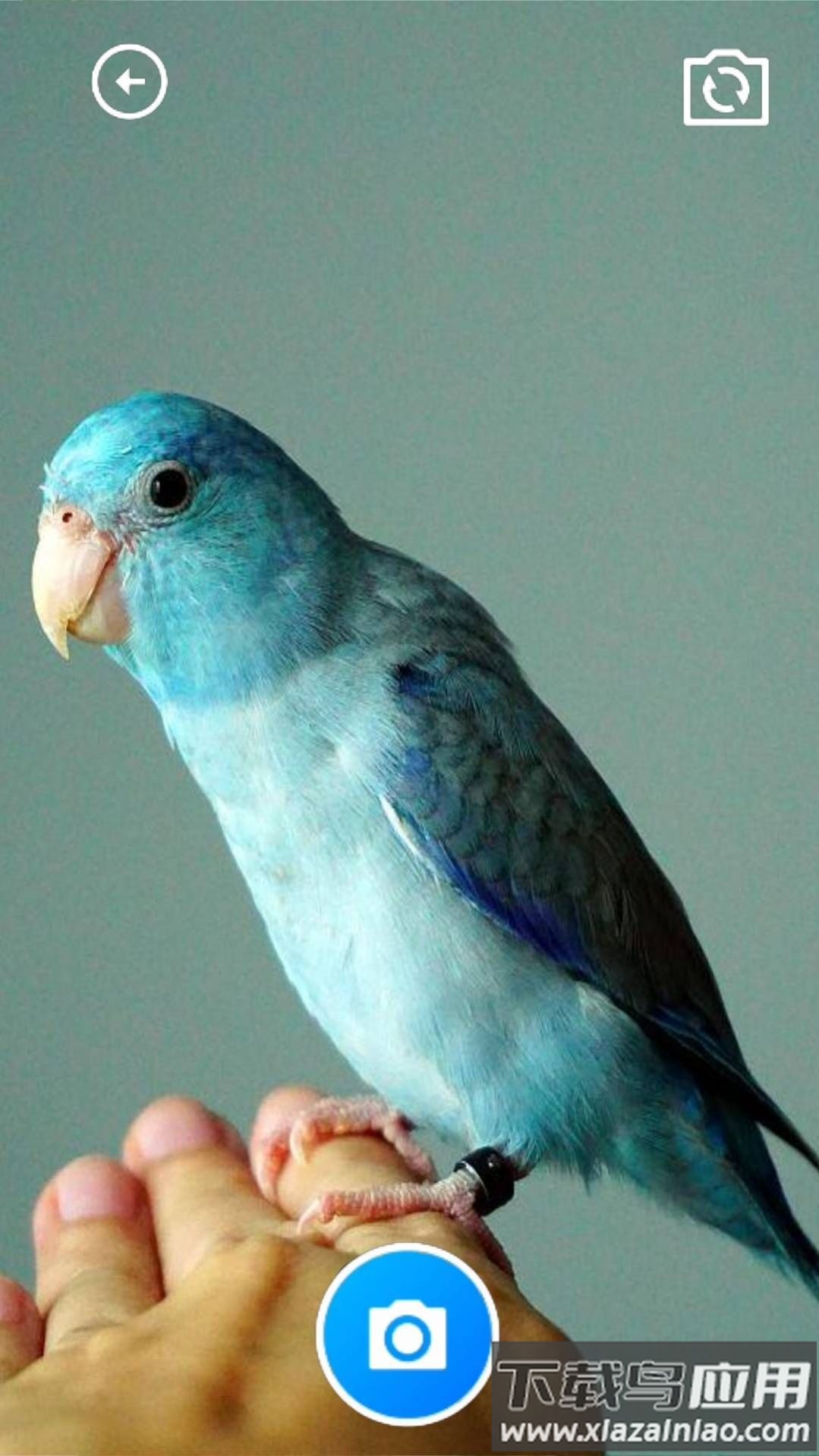 巧玲珑锦盒app最新版截图1