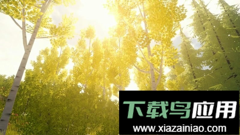 Wilderless流浪荒野中文版最新版截图1