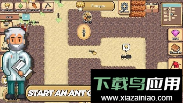 口袋蚂蚁(Pocket Ants)截图1