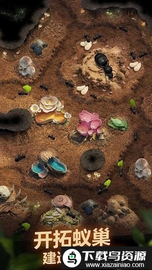 小小蚁国官方版本最新版截图1