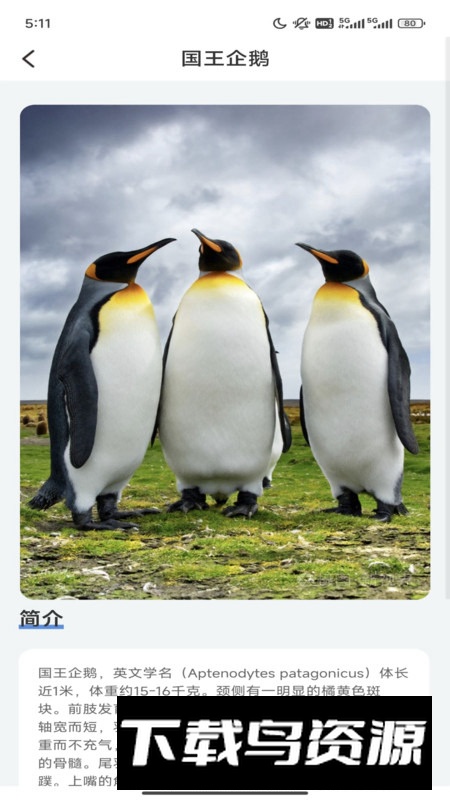 企鹅妙看app安卓版截图1