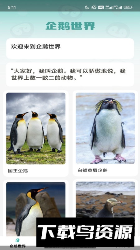 企鹅妙看app安卓版截图2