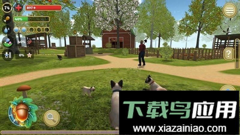 猫咪生存探险最新版最新版截图2