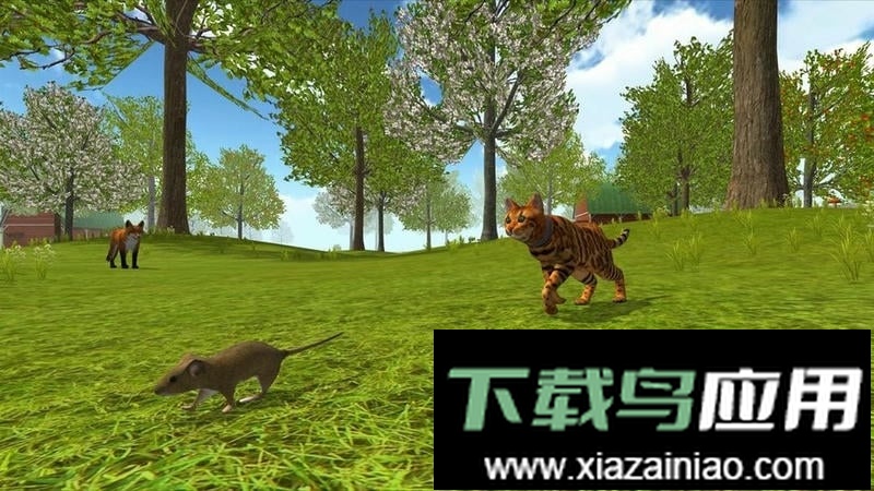 猫咪生存探险最新版最新版截图3