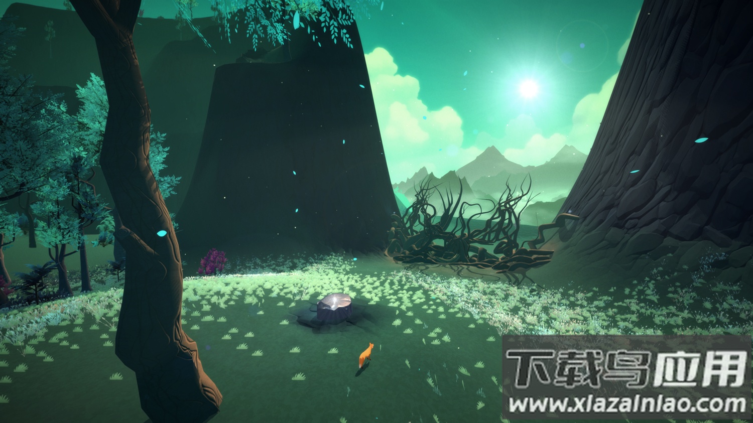 第一棵树下载安装最新版截图3