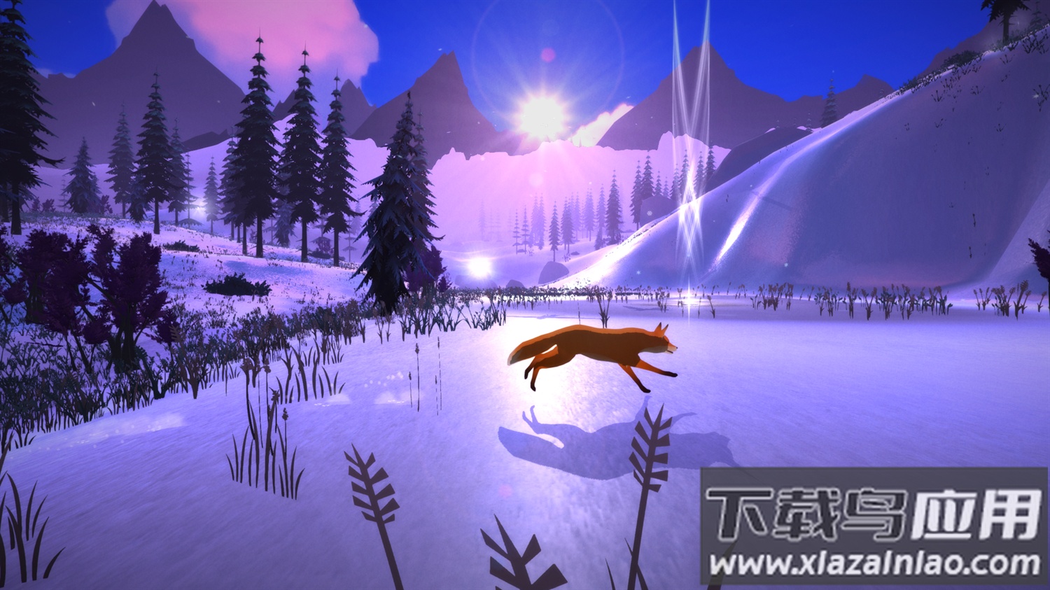 第一棵树下载安装最新版截图4