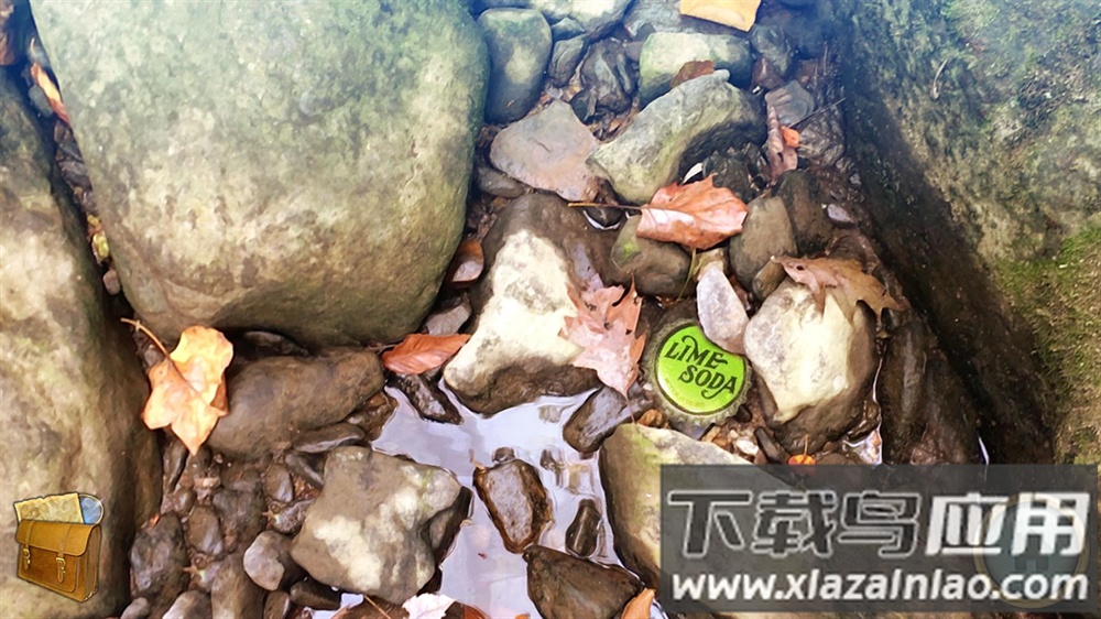 密林溪流游戏(Thickety Creek)截图2